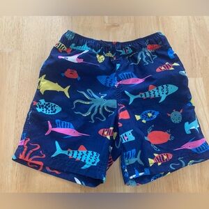 Boys Swim Trunks, Size 5